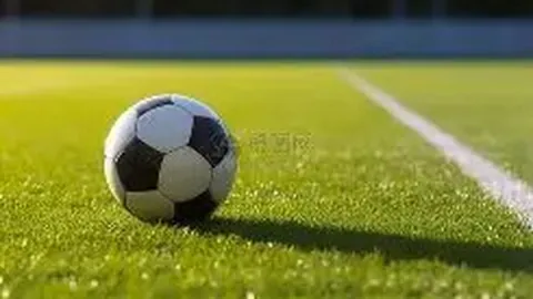 萧亚轩计划为爱犬打造专属迪士尼乐园，曾遭狗狗咬伤引关注